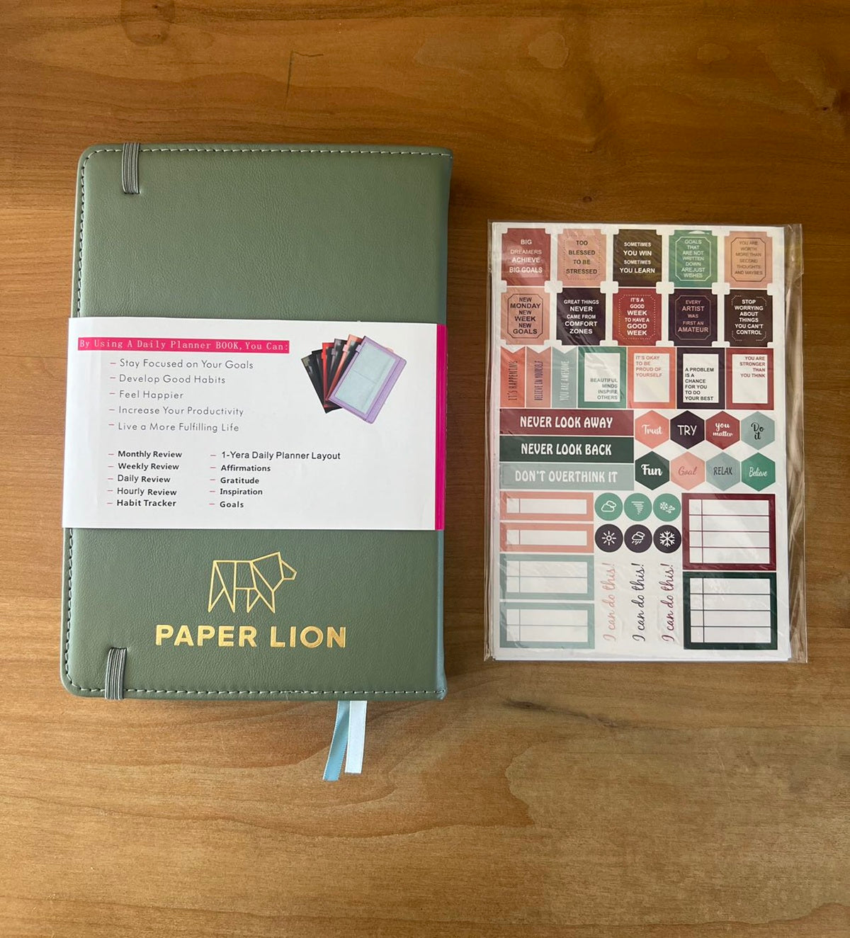 Paper Lion A5 PU Leather Cover Daily/Hourly Planner Book with stickers