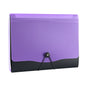 12-Divider Expanding Accordion file with Clip Board