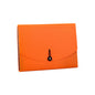 Vibrant Color 12-Divider Expanding Accordion File